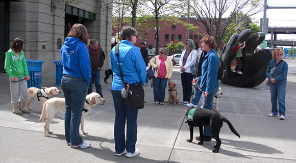 Guide Dogs Puppy Club Outing、セーフコ・フィールドの前でミーティング中