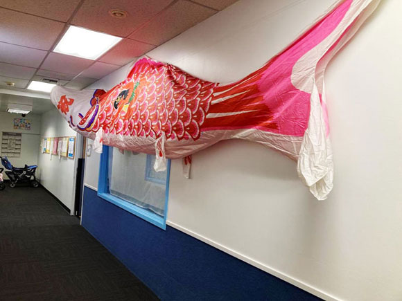 今日の写真はシアトルとベルビューにある日本語保育園の『めぐみ保育園』で飾られている鯉のぼりです。