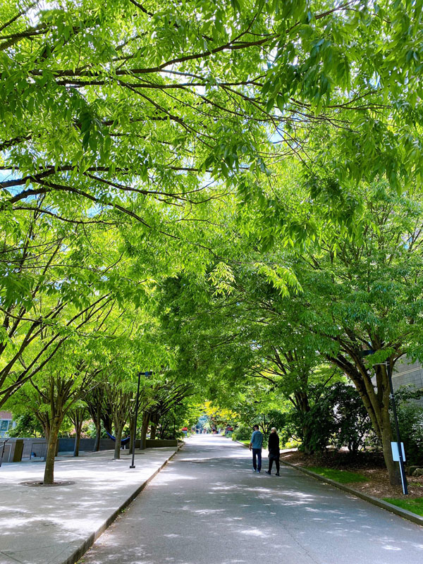 ファースト・ヒルにあるシアトル大学のキャンパスも緑が多くてきれいです。