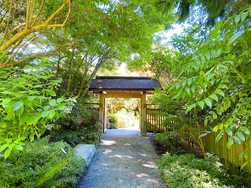シアトルとその近郊にある美しい日本庭園や植物園 Junglecity Com