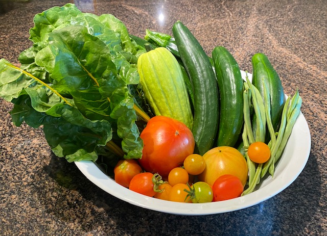 夏の楽しみは夏野菜を育てること