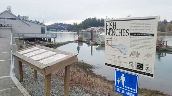 Fish Benches