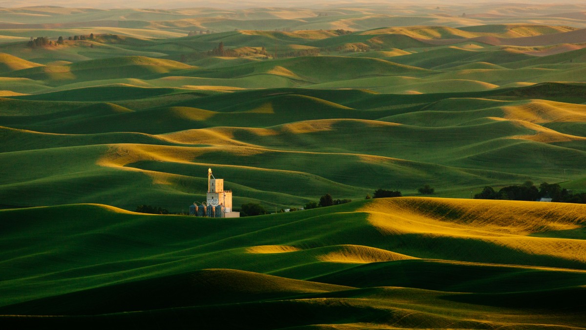 palouse-6