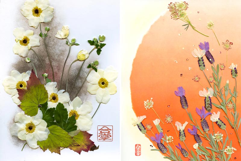 「”きれいだな” “楽しいな” と、心から思える時間を大切にしたい」草薙法美さん（くさなぎ・のりみ）押し花アーティスト